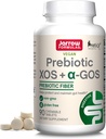 Formules de Jarrow Prebiotic XOS + GOS Prebiotic Fiber, Supplément pour le soutien de Gut, 90 comprimés de santé à croquer Gut, 30 jours d'approvisionnement