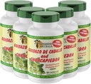 Sunshine Naturals Guisazo & Chancapiedra Herbal Blend, complément alimentaire naturel pour le bien-être, 90 capsules. Boîte de 5