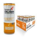 Boissons de protéines de collagène de Reneva - 10g de peptides de collagène, d'électrolytes, de vitamine B, de zinc et de sucre zéro (Ananas orange de pignon de passion)