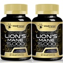 Lions Mane Supplément Capsules - 120 Compte - Supplément Champignon, Supplément Cerveau pour Mémoire et Focus, Lions Mane Champignon Capsules - Soutien cognitif et immunitaire, Supplément Focus - 2 Pack