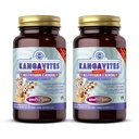 Solgar Kangavites, Bouncin’ Berry Flavor - 120 Chewable Tablets, Pack of 2 - Complete Multivitamin & Mineral Formula for Children - Vegan, Gluten Free