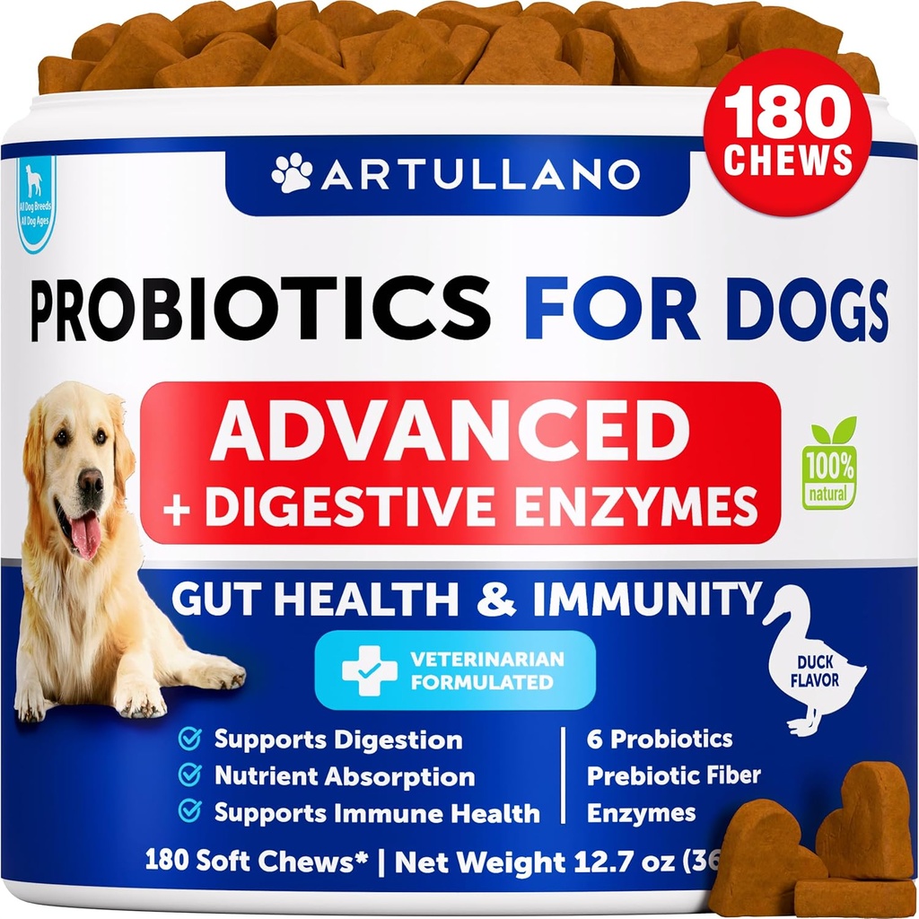 Probiotiques pour chiens - Soutien Santé Gut, peau démangeaison, allergies, immunité, équilibre des levures - Probiotiques pour chiens et enzymes digestives avec prébiotiques - Réduire la diarrhée, gaz - 180 Chews probiotiques pour chiens