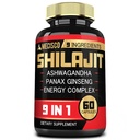 Supplément Shilajit avec racine d'Ashwagandha, Panax Ginseng, L-Arginine, Chaga & More - Shilajit Pure Himalayan Organic - Système immunitaire, Production d'énergie, Stamina & Confortable Mood - 60 Capsules