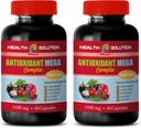 complément complexe antioxydant - ANTIOXIDANT MEGA COMPLEX 1440 MG - Extrait de mangosteen, compléments nutritionnels antioxydants, grenade de canneberge manguesteen, désintoxication et nettoyage 2 bouteilles 120 capsules