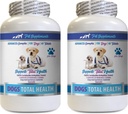 SUPPLÉMENTS EN PET & NUTRIITION LLC Hygiène dentaire du chien - Chiens Total Contrôle de la santé - Soutien immunitaire - Nails de peau des cheveux Formule de santé des yeux oraux - Calcium oral pour chiens - 2 bouteilles (120 traités)