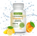Liposomique - Vitamine c 1000mg - 60 Capsules de Vitamine c - Absorption plus élevée, biodisponibilité Liposomique Vitamine c par Lune et Mercure
