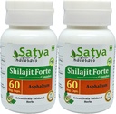 Shilajit Forte Capsules 500 mg. 60 Veg. Capsules d'extrait Shilajit (Asphaltum) pour hommes et femmes