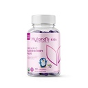Hyland's Kids Organic Elderberry Plus Gummies, Aileron noir biologique avec ZINC et vitamine C, Immune Support pour les enfants, 48 Gummies Vegan