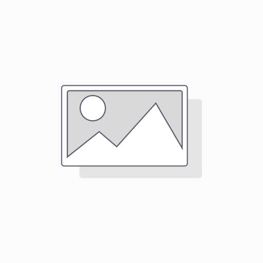 DR.KING'S Sulphur Bitters Dietary Supplément 200ml par DR KING'S par Dr King's