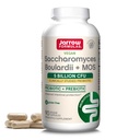 Formules de Jarrow Saccharomyces Boulardii + MOS Probiotiques pour la santé digestive et le traitement intestinal - 5 milliards CFU par portion - 90 capsules de libération différée - Probiotique + Prébiotique - 90 portions