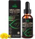 Extrait de feuille de Mullein pour les poumons - gouttes de Mullein pour le soutien respiratoire de la santé Lung Detox Cleanse - Vegan sans sucre sans gluten - Supplément liquide pour hommes femmes 2fl. oz (60ml) (1 Pack)