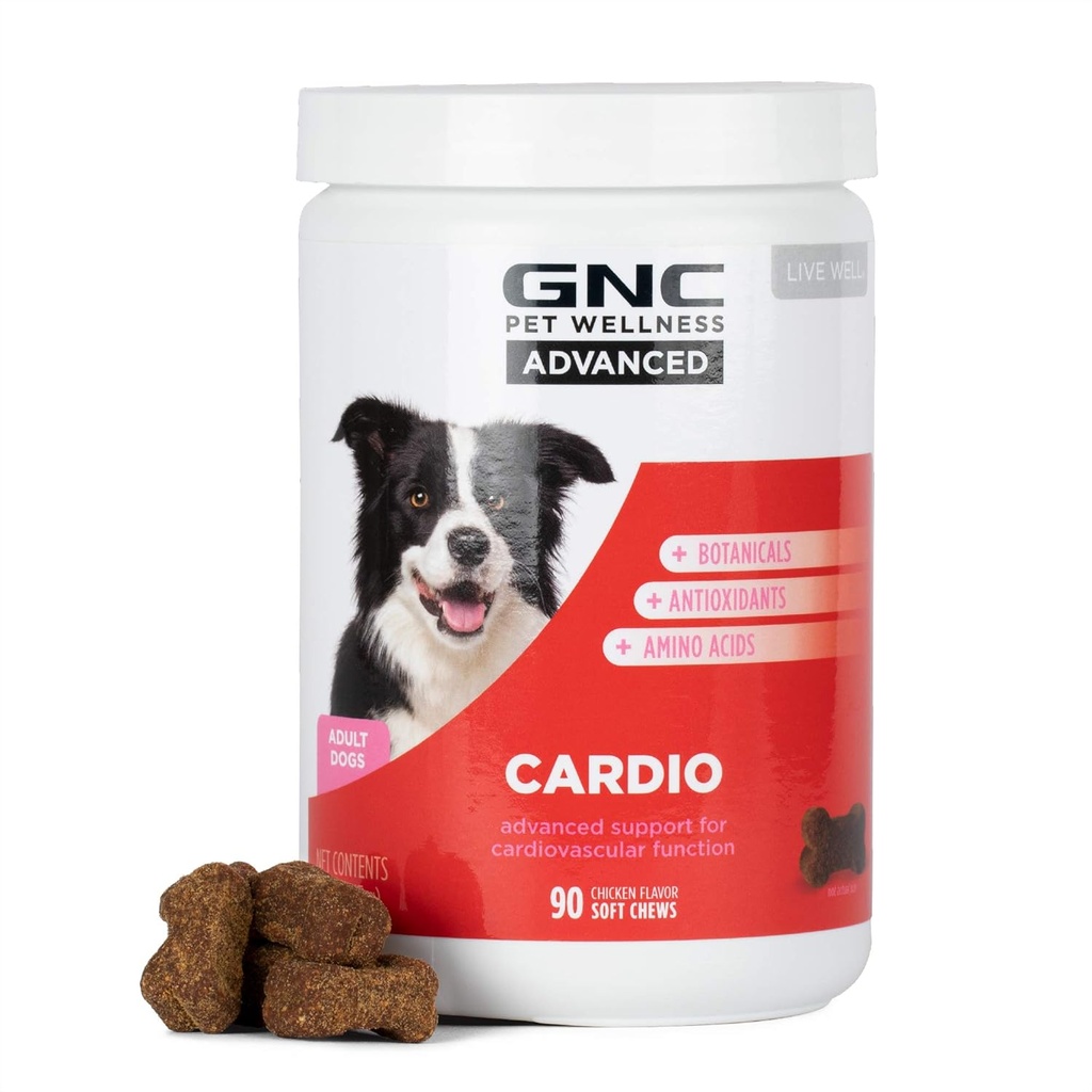 Animaux de compagnie GNC Suppléments pour chiens avancés, soutien cardiovasculaire et santé cardiaque Chews pour chiens, supplément pour animaux de compagnie doux fabriqués aux États-Unis, vitamines cardio et essentiels canines faciles à manger, 90 comte