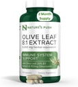 Nature's Push Super Potent Olive Leaf 8:1 Extrait 20% Oleuropein 750mg Capsule Système immunitaire, peau, et soutien de santé cardiaque Vegan Non-GMO USA cGMP Antioxydants sans gluten 60 Capsules 2 mois d'approvisionnement