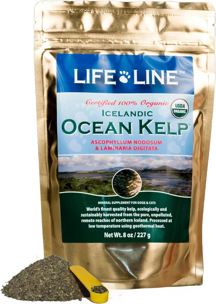 Ligne de vie en poudre de Kelp biologique pour les chats, les chiens, le bétail et les chevaux – Supplément naturel d'iode pour la peau, le manteau et les dents saines – réduit la plaque et augmente le métabolisme - 8 oz