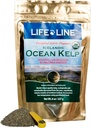 Ligne de vie en poudre de Kelp biologique pour les chats, les chiens, le bétail et les chevaux – Supplément naturel d'iode pour la peau, le manteau et les dents saines – réduit la plaque et augmente le métabolisme - 8 oz