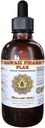 Extrait liquide de lin, lin organique (Linum usitatissimum) Supplément de teinture 4 oz