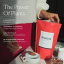 SAKARA Super Powder Bundle - Métabolisme Super Powder, Chocolat et Fibre Super Powder, Conseil d'Ananas - Aide santé digestive avec supplément d'enzymes digestives Poudre