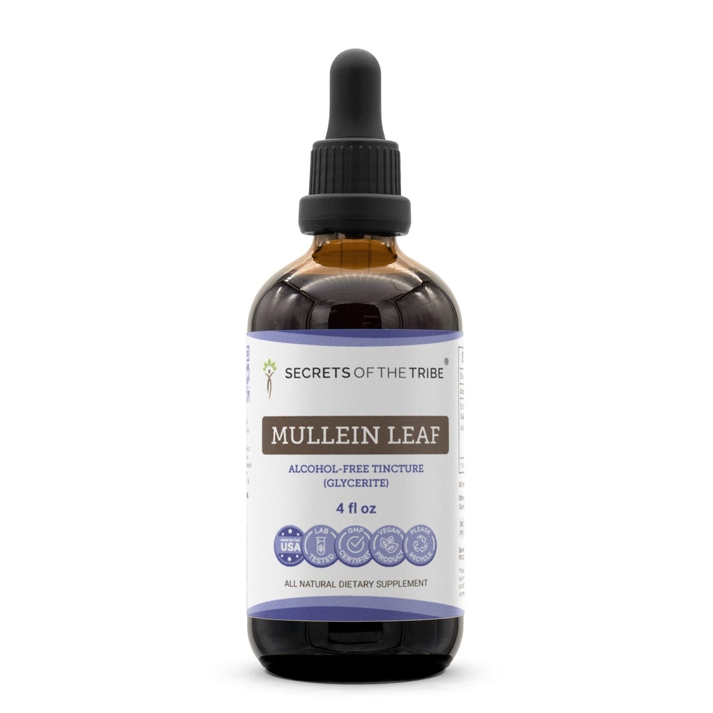Secrets de la tribu Mullein Leaf Extrait liquide sans alcool, Mullein (Verbascum thapsus) Supplément de teinture (4 FL OZ)