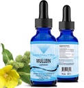 Absonutrix Mullein 300 mg, 4 Oz liquide, 300 portions, Fabriqué aux États-Unis, Absorption rapide, Ingrédients de qualité, Non-OGM, Installations certifiées GMP, Produits sans cruauté
