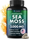 Capsules de mousse de mer - Irish Sea Moss Advanced avec la racine de Burdock, Bladderwrack et Muira Puama pour l'immunité, Gut, et l'énergie - Superfood Sea Moss Suppléments avec/Raw Sea Moss Powder - 120 Irish Seamoss Pills