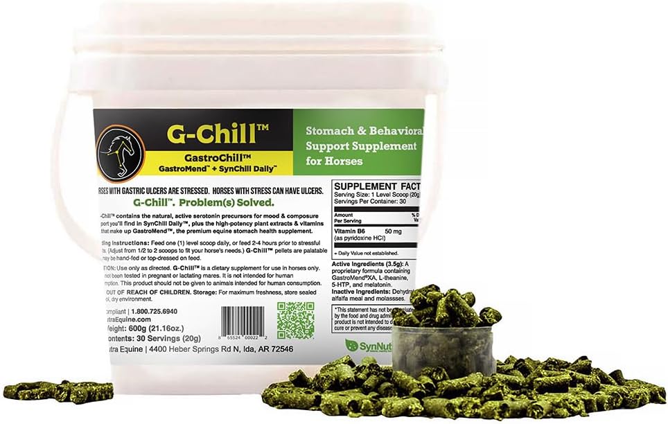 G-Chill All-Natural Digestive Health Support for Horses - 30 portions - Promotion de la santé de l'estomac et de l'hindgut, aide au soulagement de l'ulcère gastrique, améliore la production de collagène et de fibronectine pour la réparation des tissus