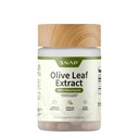 Snap Supplements Olive Leaf Extract Capsules - Super Strength 40% Oleuropein for Blood Flow Support, Improve Digestion, Antioxidant Boost Supplement, Improve Brain Function (60 Capsules)