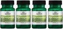Swanson Pycnogenol 100 Milligrammes 30 Capsules 4 Pack