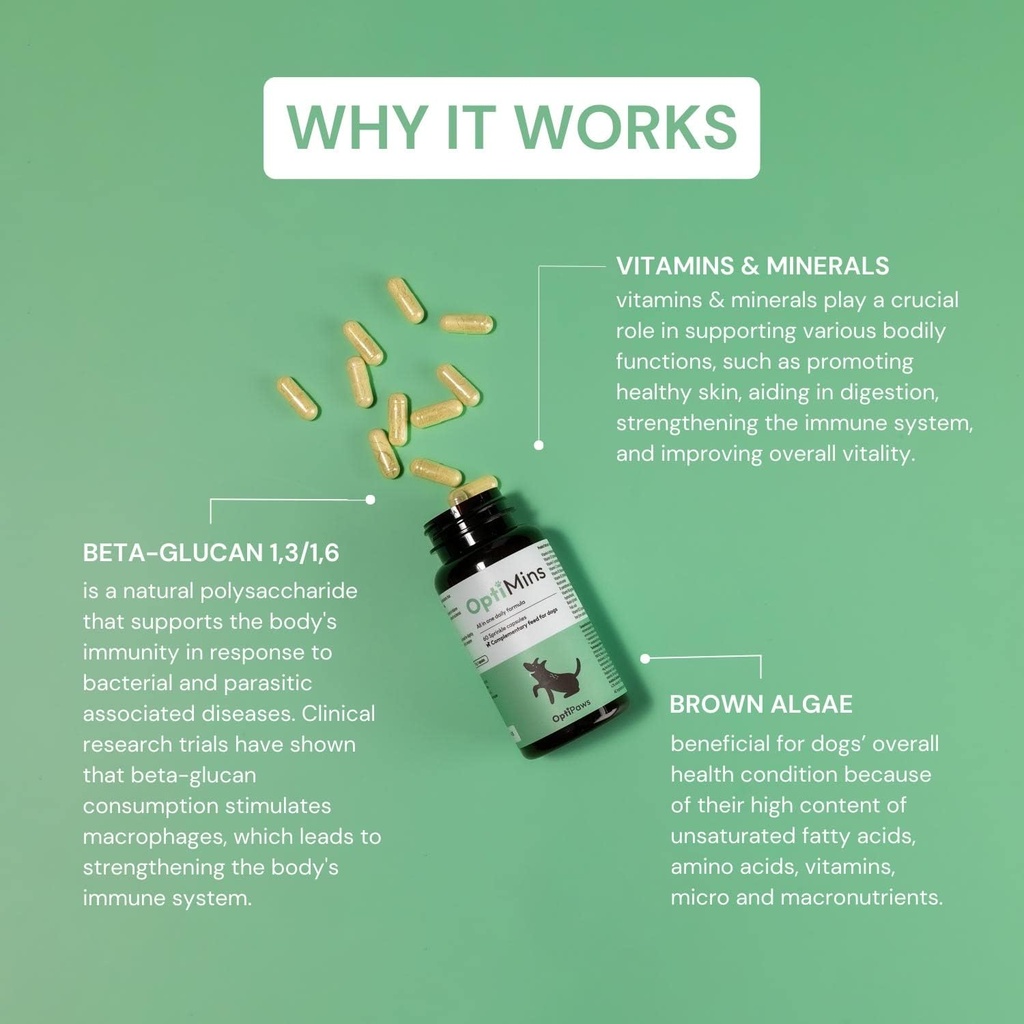 OptiMins Dog Vitamine & Mineral Capsules - Nutriments essentiels pour la santé - Vitalité et protection immunitaire - Multivitamines, acides aminés et minéraux pour la peau, la digestion et la santé cardiaque