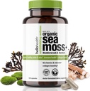 Bio Irish Sea Moss Capsules: Wildcrafted Sea Moss, Burdock Root & Bladderwrack Prébiotique Super Food pour le soutien immunitaire, Thyroïde Support, Énergie naturelle, -120 Caps