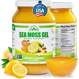 EverSmith Organics Wildcrafted Irish Sea Moss Gel, Lemon Ginger, 1 Jar | Made in USA, Rich in Nutrients, Sea Moss Gel Raw, Vegetables & Fruits, Sustainably Harvested, Essential Vitamins and Minerals