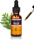 Herb Pharm Thuja Branchlet Liquid Extract - 1 Ounce (DTHUJA01)