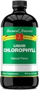 Bernard Jensen's 100% Pure Natural Chlorophyll Flavor Liquid Supplement | Promotes Alkaline Ph | Helps to Cleanse Blood | 16 Fluid Ounce (474 ml)