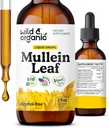 Wild & Organic Mullein Drops for Lungs - Lung Detox and Cleanse - Liquid Mullein Leaf Tincture with Echinacea & Licorice Root - Vegan, Sugar & Alcohol-Free Extract Supplement - 2 fl oz