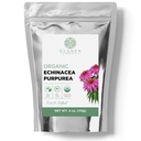 Echinacée biologique Purpurea 4 oz (113g), thé d'échinacée séchée certifié USDA, herbes de qualité supérieure, fleur de cône violet, coupé et tamisé