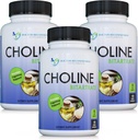 DOCTEUR COMPLÉMENTS RECOMMANDÉS Choline Premium - 500 mg - 120 Capsules de Veggie Soutient la santé cognitive, la mémoire et plus - 3 Pack