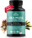Mousse de mer irlandaise biologique avec Bladderwrack, root de Burdock et extrait de poivre noir, 150 capsules, support thyroïdien, source naturelle d'iode, favorise le système immunitaire, aliments cellulaires, supplément alcalin