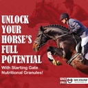 SBS Equine Starting Gate Granules - Horse Stomach Ulcer Treatment & Ulcer Relief, Horse Supplement Formula Scoop for Feed, Perfect Prep as a Hoof Supplement (5 Gallon)