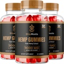 (3 Pack) Racines de Bliss Gummies 300 mg par Gummy, BlissRoots Gummies, Bliss Roots, Bliss Roots Gummy, Bliss Roots Gummies, BlissRoots organiques Gummies, Bliss Roots Supplément Gummy, 90 Gummies 3 mois