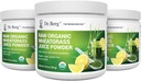 Dr Berg's Raw Wheatgrass Juice Powder (60 portions) - USDA Certified Organic Wheatgrass Powder w/ Chlorophylle, Trace Minerals & Natural Enzymes - Ultra-Concentré - Lemon Flavor w/ Stevia 3 Pack