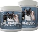 Puppy Naturals (Muscle Building Immunity Milk Remplacer + 10 in 1 Puppy MultiVitamine Nutrient Chew) Vétérinaire formulé. Soutien nutritionnel aux chiots en croissance (60 services).