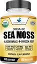 American Standard Suppléments Organic Sea Moss, Bladderwrack & Burdock Root Capsules - 1200mg Seamoss, 1200mg Bladderwrack, 225mg Burdock Root par service - 120 Capsules, 40 portions