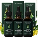 Betterbrand Mullein Lung Detox Drops (3-Pack), 60ml Mullein Leaf Tincture with Chlorophyll for Respiratory Health Support - Alcohol-Free - 3 Month Supply