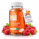 Une dose d'Immunity Support pour les enfants Gommies - Supplément quotidien d'Immune Booster Quercetin Gommies pour les enfants avec complexe de vitamine B, vitamine C, zinc, vitamine D, bromelain Quercetin, Echinacea - 60 Compte