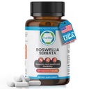 Boswellia Serrata 600mg 65 Extrait d'acide boswellique soutient le confort articulaire, la flexibilité et la mobilité Supplément naturel à base de plantes Bien-être végétalien, non-OGM, sans gluten 90 gélules.