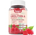 1 Pack 3000mg Urolithine liposomique A 8-en-1 Gommies Supplément, contient CoQ10, Resvératrol, L-Carnitine, Quercetine, Vitamine C, Astaxanthine, Mito & Cell Support, Anti-Age, Métabolisme et stimulation énergétique