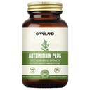 Artemisinin Plus – Sweet Wormwood Extract 100mg – Artemisia Annua Complex with Folic Acid & Selenium – Herbal Supplement for Immune System & Wellness – Vegan Capsules – 120 Count