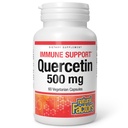 Natural Factors Quercetin - Antioxidant Support Supplement for Respiratory & Lung Health Support - Quercetin Supplement Aids Your Body's Health & Function - 60 Vegetarian Capsules (60 Servings)