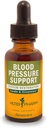 Herb Pharm Blood Pressure Support Liquid Formula for the Cardiovascular and Circulatory Systems - 1 Ounce (FLINDEN01)