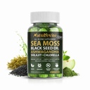 16 In 1 Sea Moss Gummies — US-Made, 3X Potent Seamoss Gummies for Men and Women with Black Seed Oil, Ashwagandha, Burdock, and More — Supports Immunity, Energy & Vitality (30-Day Supply, 60 Gummies)