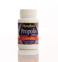 Phytoflora Brazilian Green Bee Propolis Capsules – 400mg – 60 Capsules (1 Bottle)